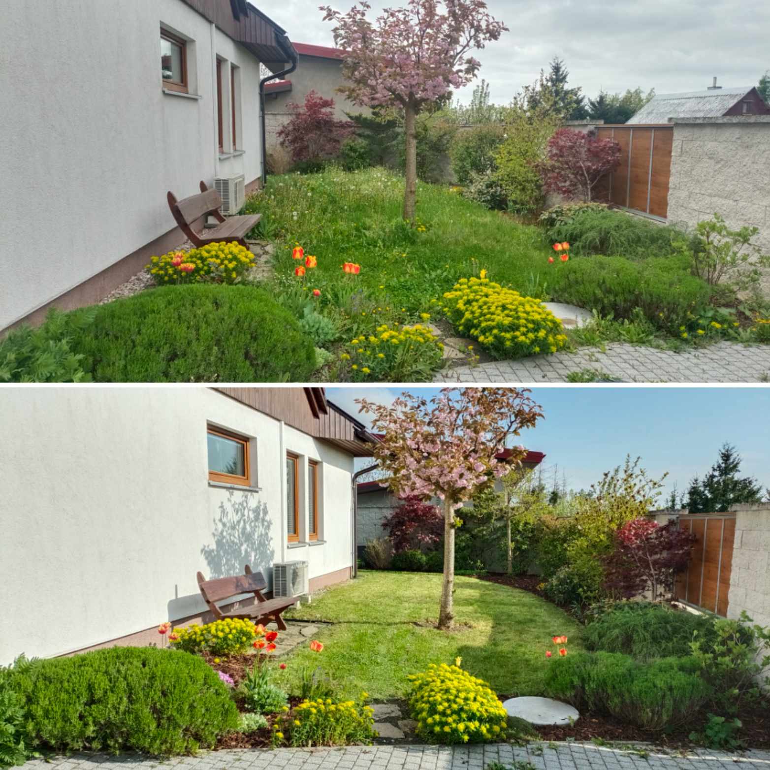 Údržba předzahrádky PŘED x PO